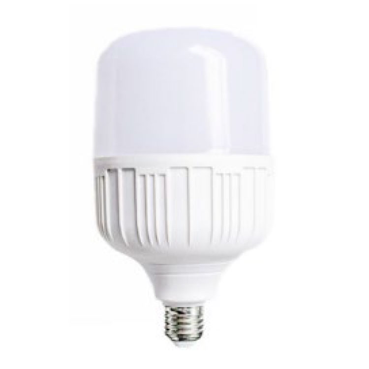 Big LED Bulb