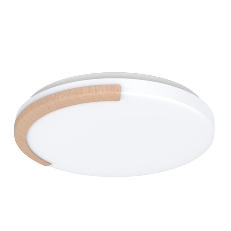 Flush Mount Ceiling Light