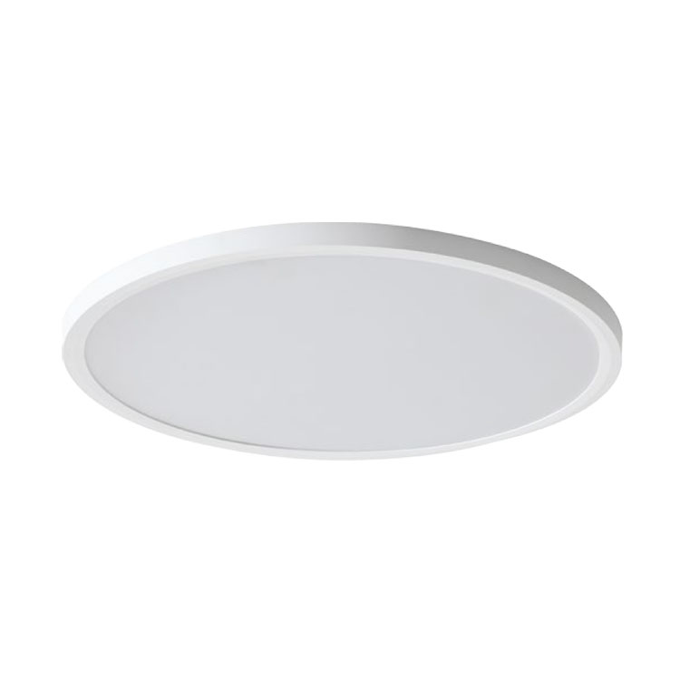 Full Spectrum Ceiling Light