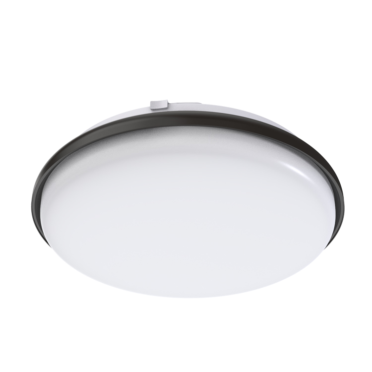 Modern Metal Ceiling Light