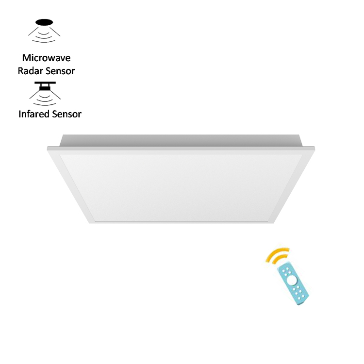 Remote Control LED Motion Sensor